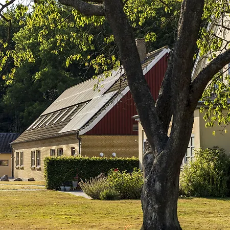 Pederstrup * Torrig