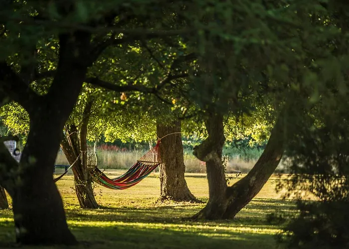 Lägenhet Pederstrup Torrig